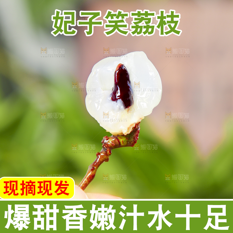 手里拿着妃子笑荔枝