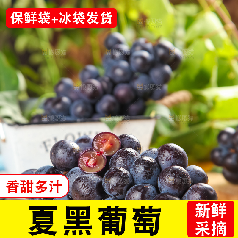 垫子上的云南夏黑无籽葡萄