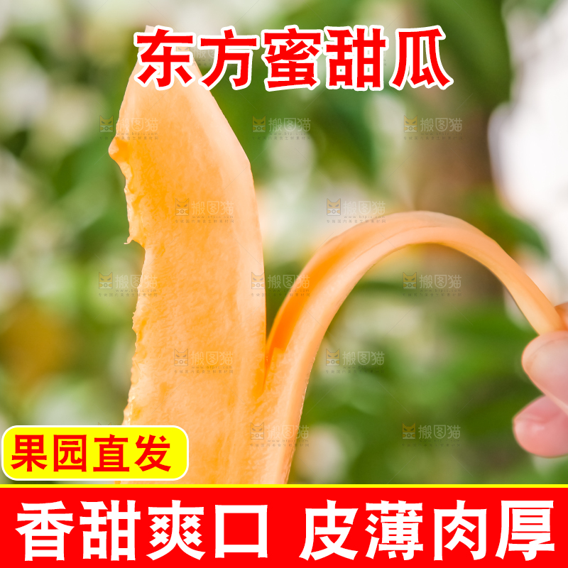 手里拿着东方蜜瓜