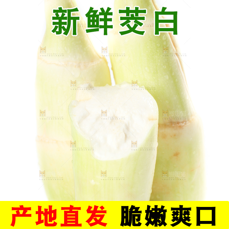 白底上的茭白