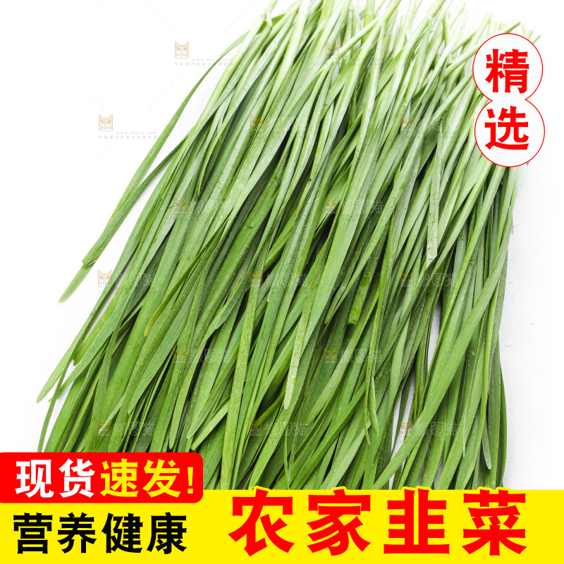 白底上放着一把嫩韭菜