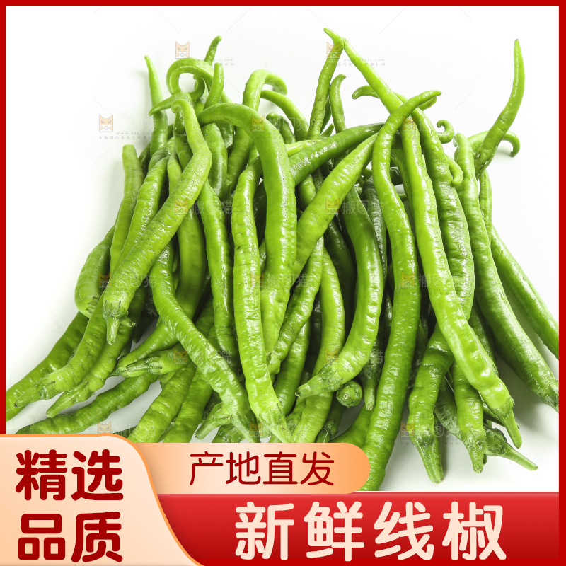 白底上的新鲜青辣椒