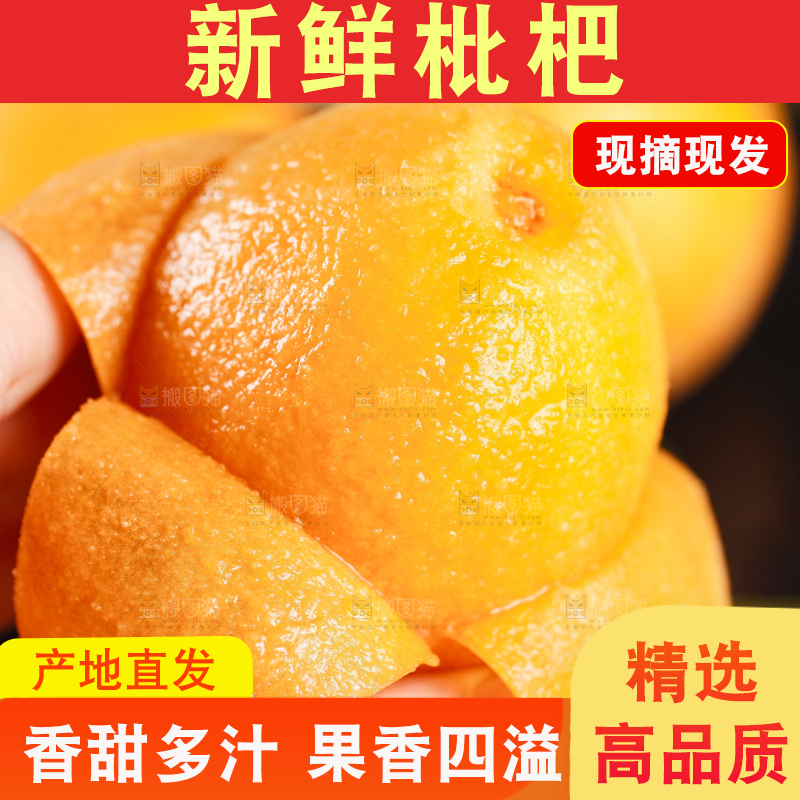 手里拿着枇杷果