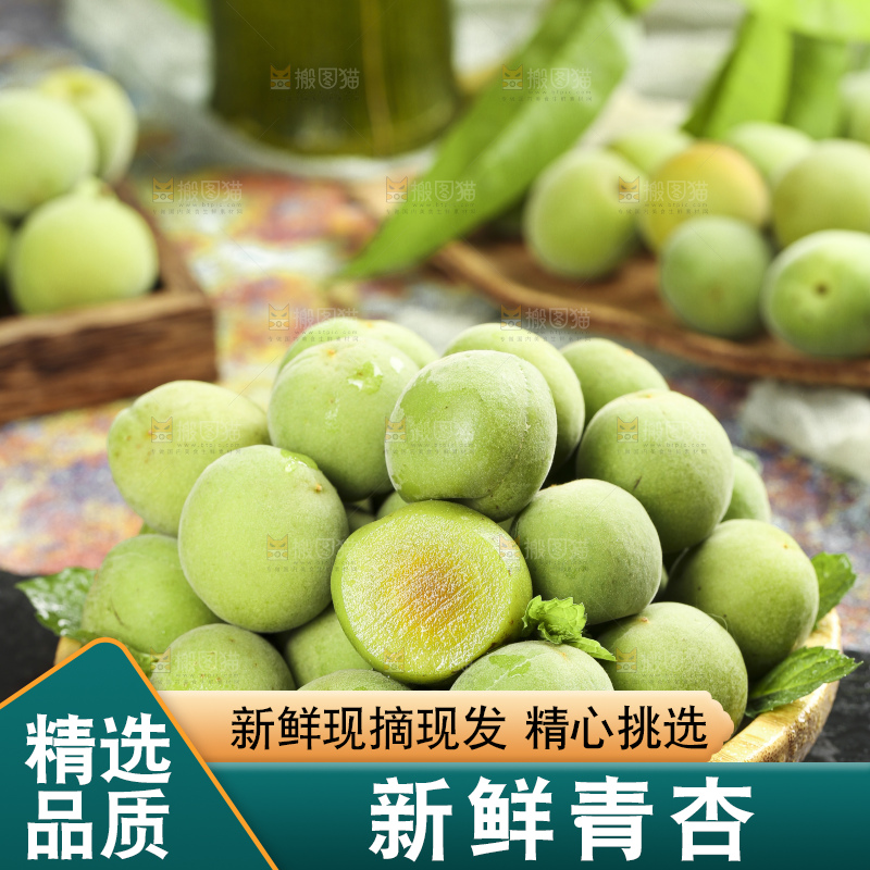 篮子里装着沂蒙山青杏