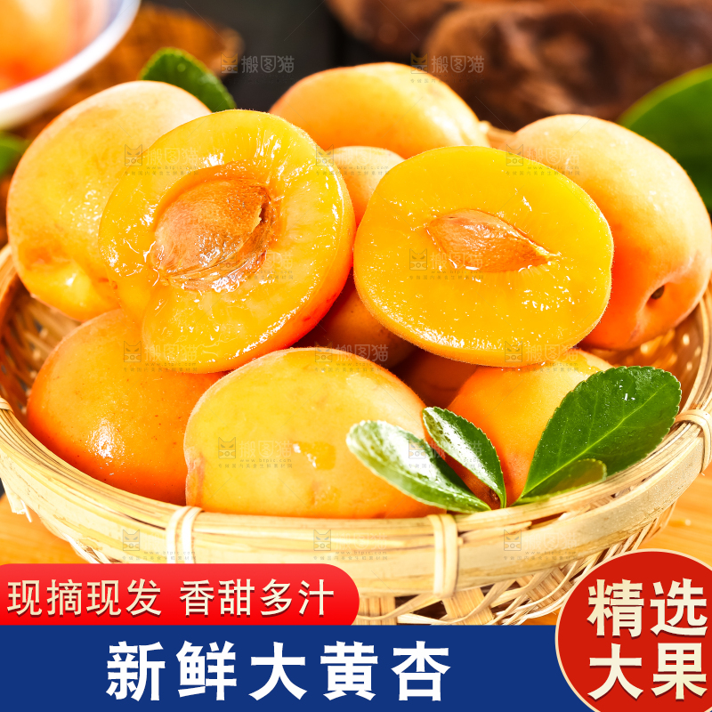 篮子里装着杏子