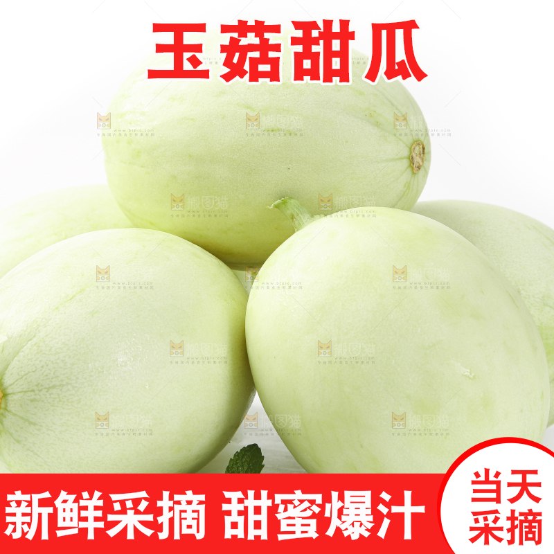 白底上摆放着玉菇蜜瓜