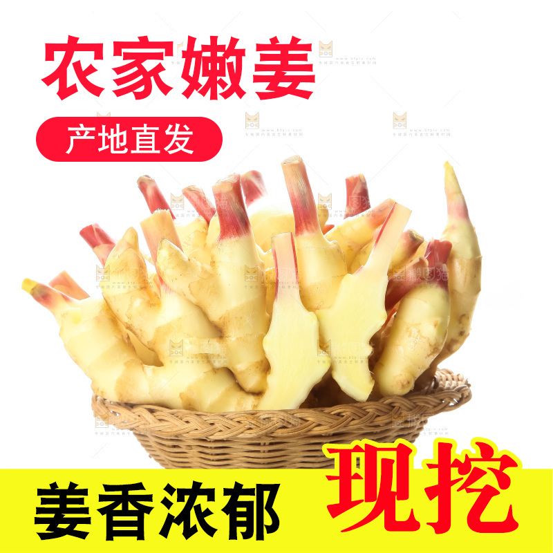 白底上的红芽嫩姜