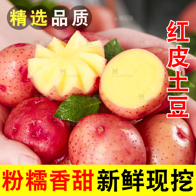 手里拿着红皮土豆