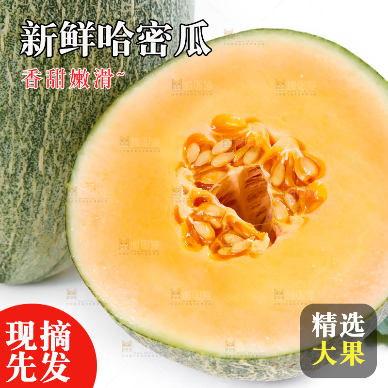 白底上摆放着网纹瓜