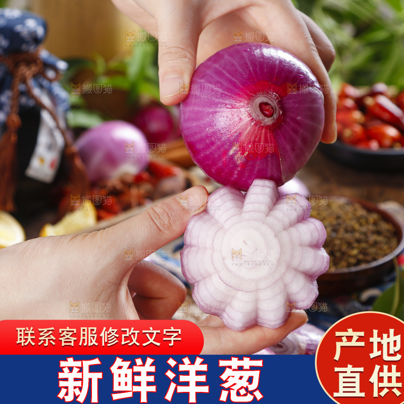 手里拿着新鲜洋葱