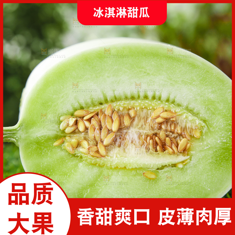 绿草地上摆放着玉菇甜瓜