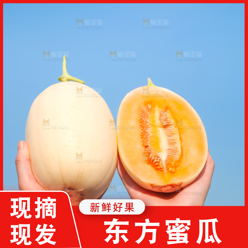 手里拿着东方蜜甜瓜