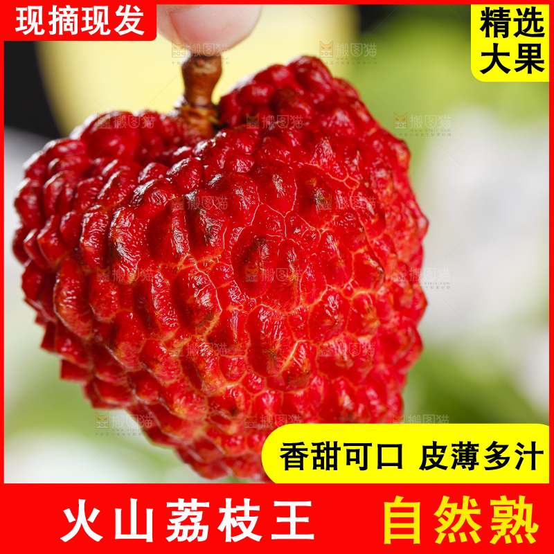 手里拿着大荔枝
