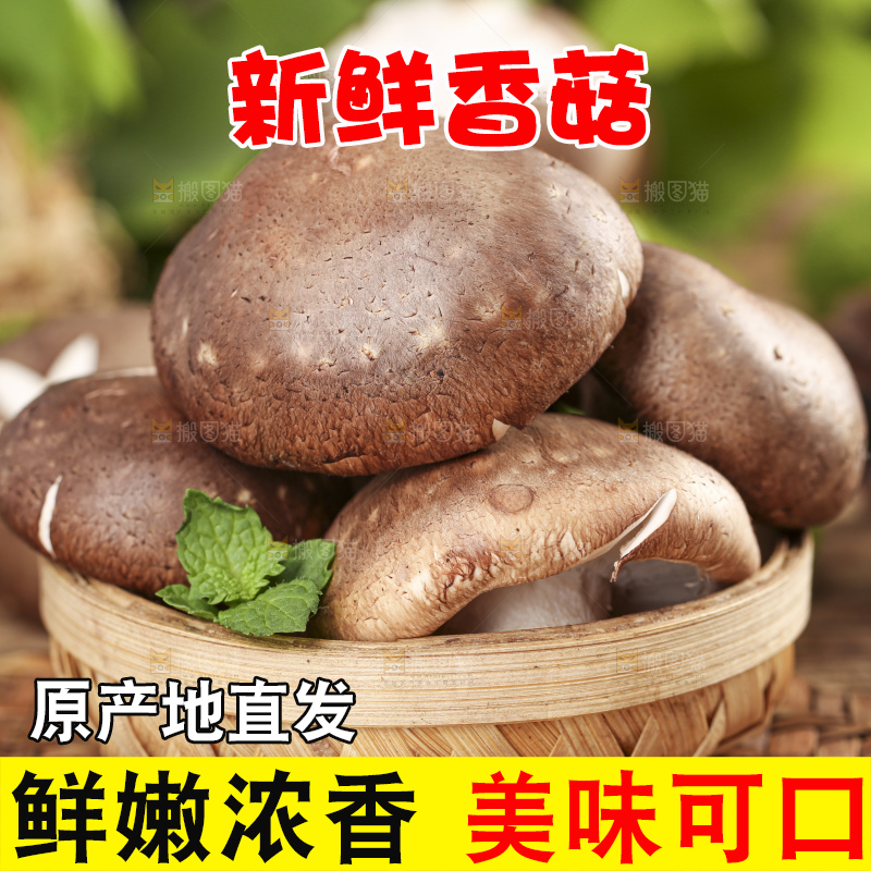 篮子里装着香菇