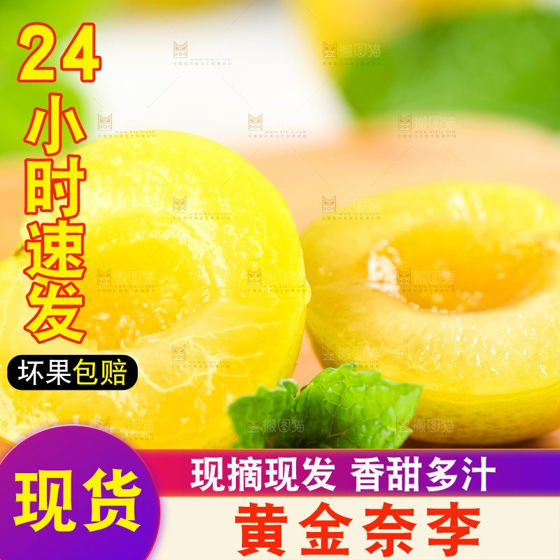 木板上的黄金李