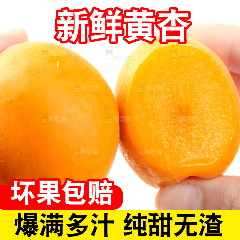 手里拿着大黄杏
