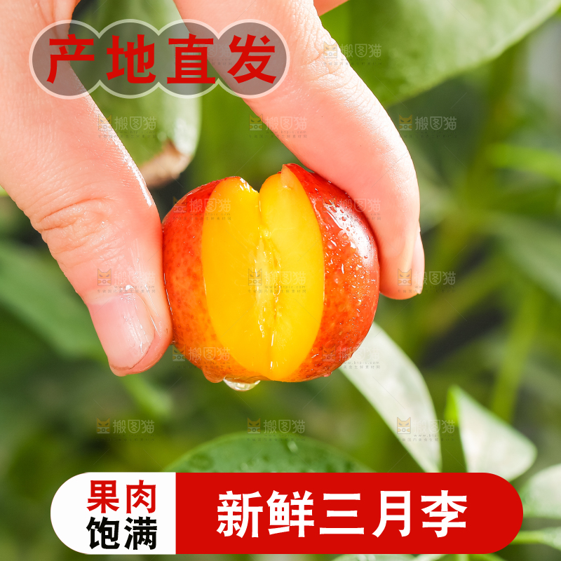手里拿着脆李子