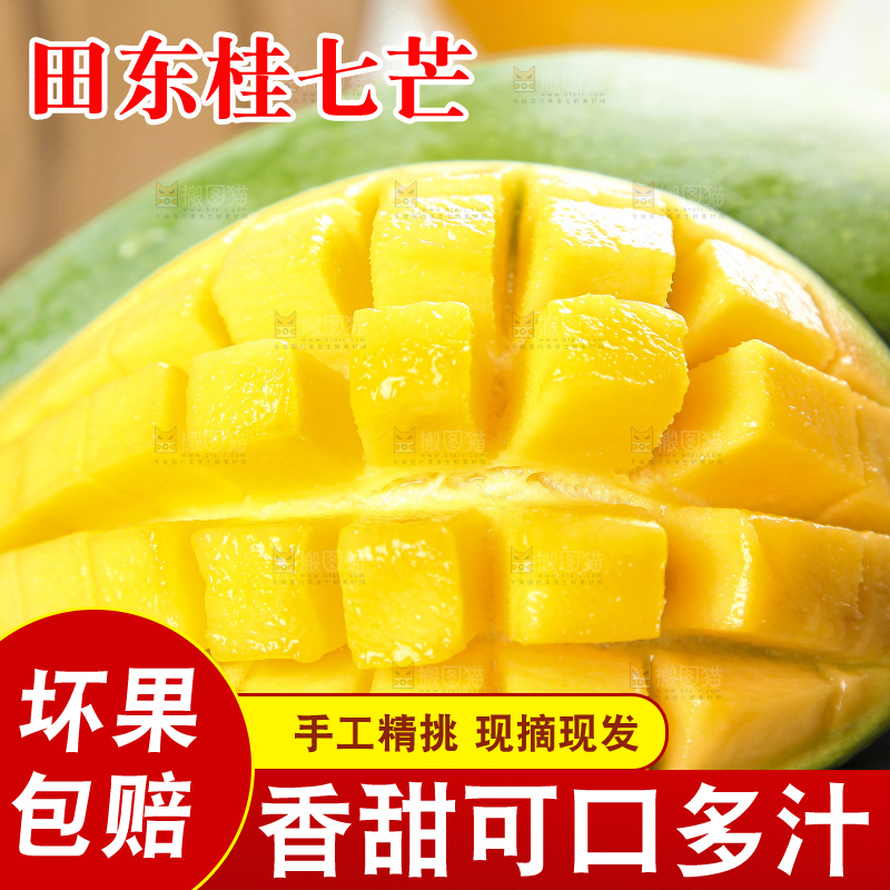 石板上的青皮桂七芒