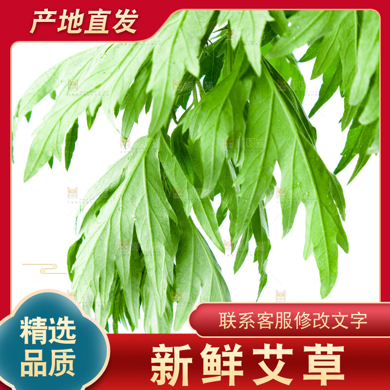 白底上放着艾草叶
