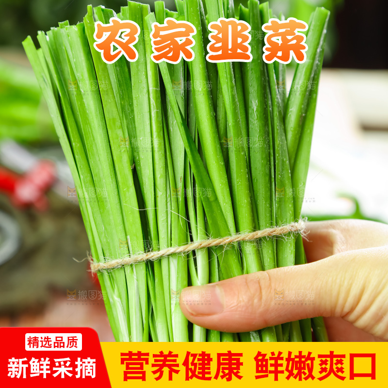 手里拿着一把韭菜