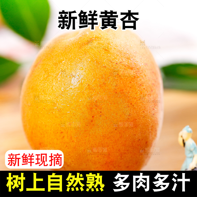 木底上放着新鲜大黄杏