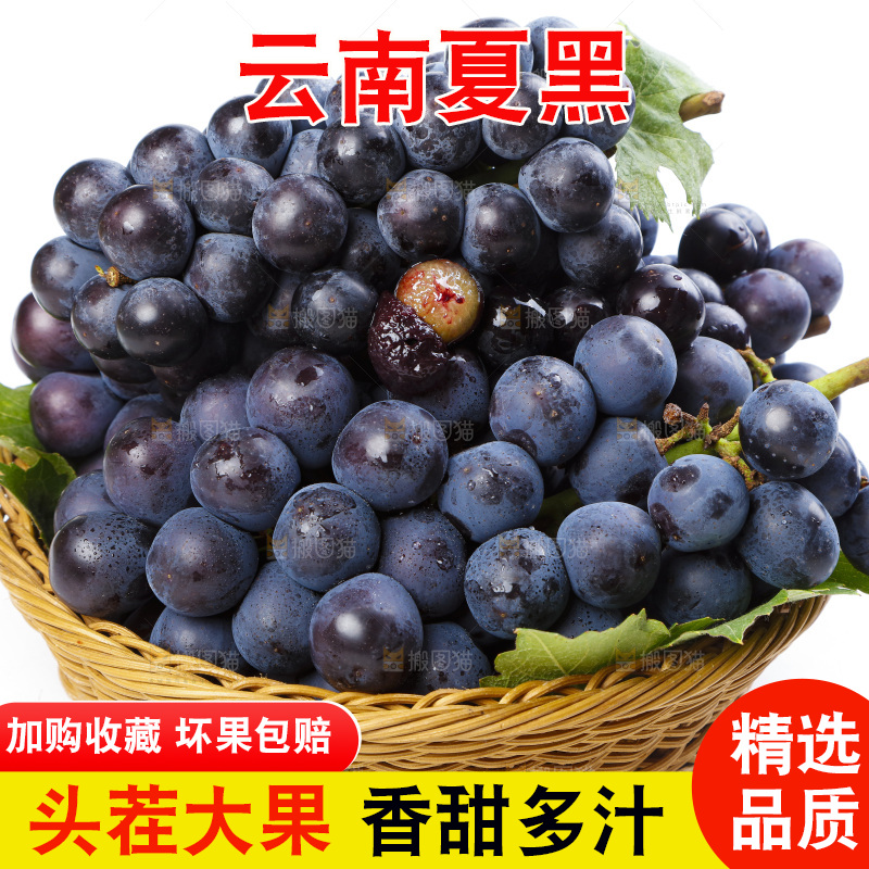 篮子里装着无籽葡萄