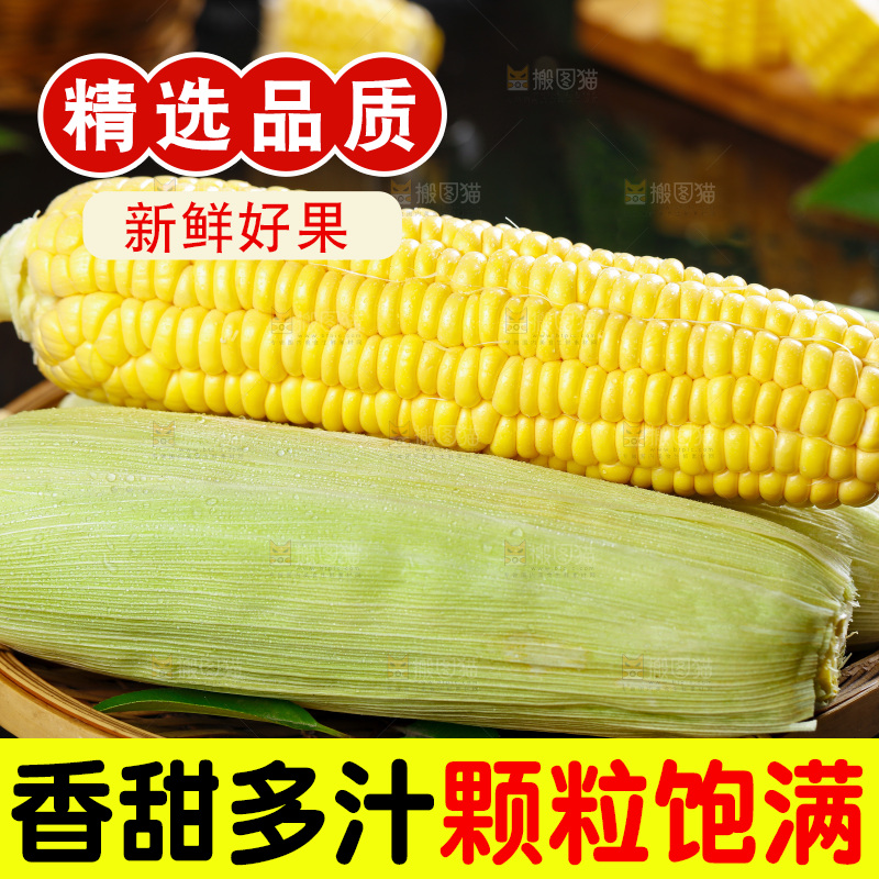 篮子子装着玉米棒