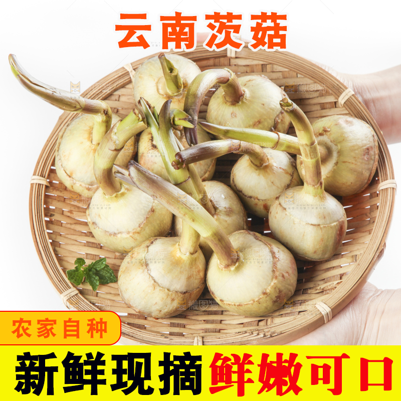 篮子里放着茨菇