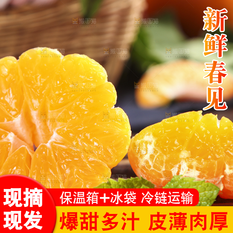 木板上的春见耙耙柑