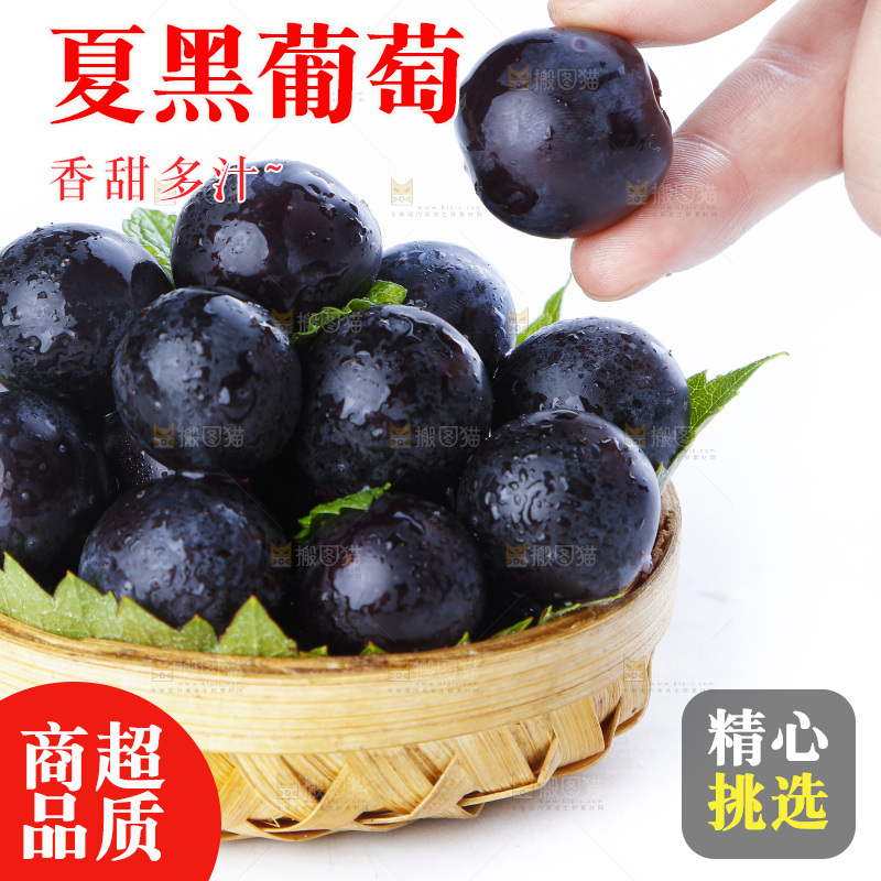 手里拿着黑加仑葡萄