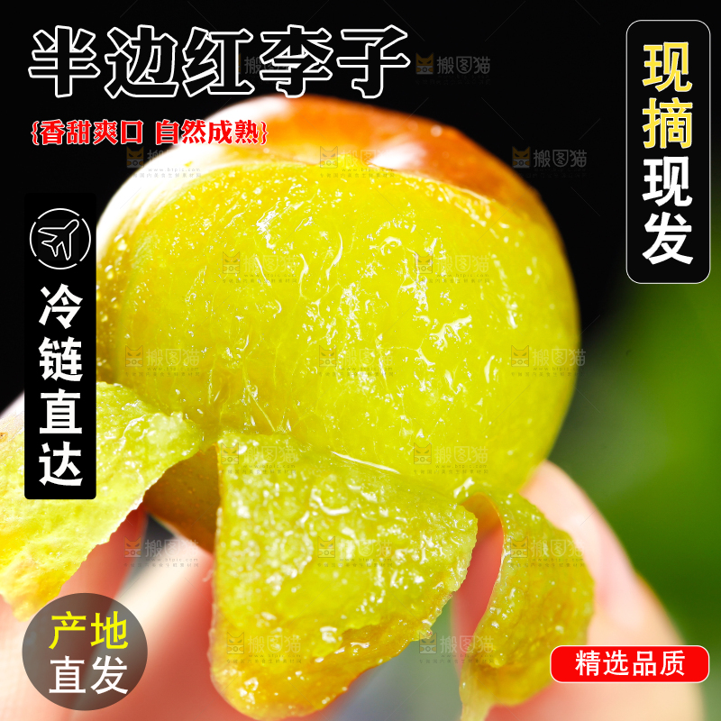手里拿着茵红李
