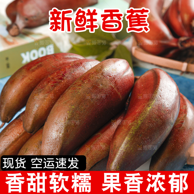 蓝底上摆放着红皮美人蕉