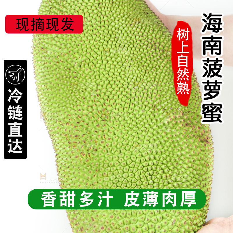 白底上放着菠萝蜜