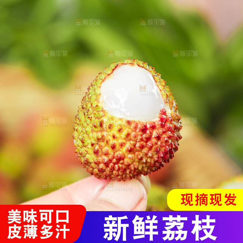 手里拿着妃子笑荔枝