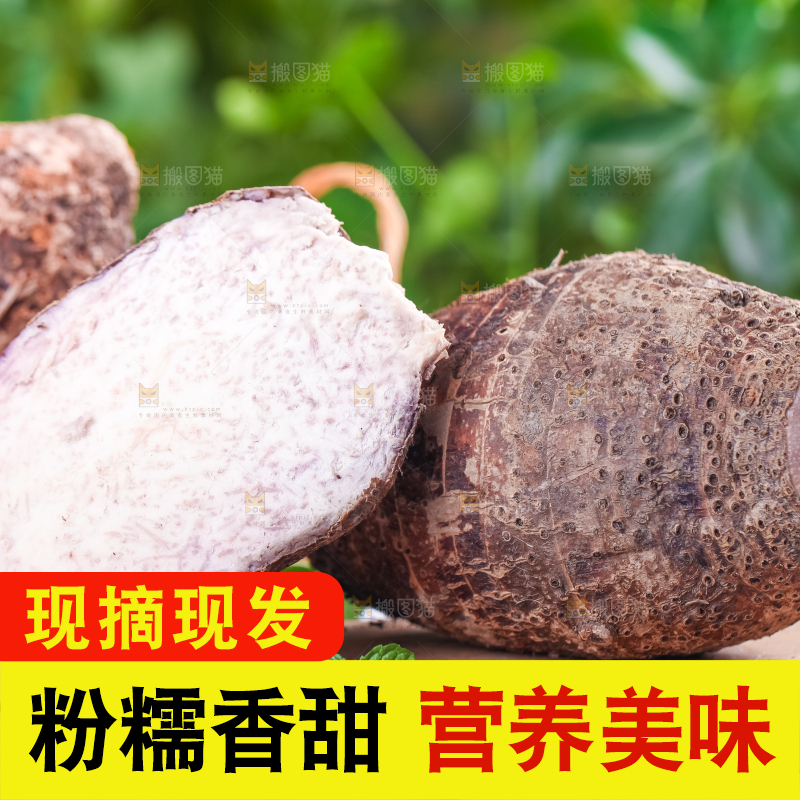 木底上放着新鲜芋头