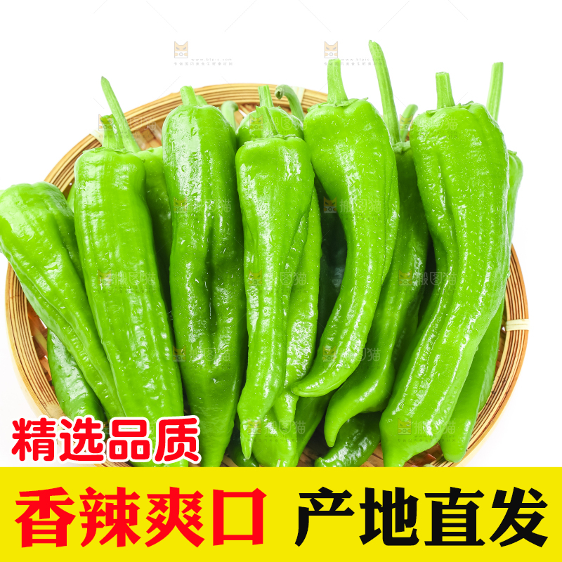 篮子里装着青椒