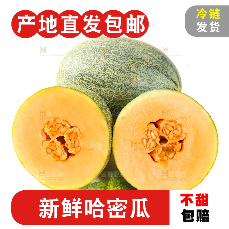 哈密瓜主图