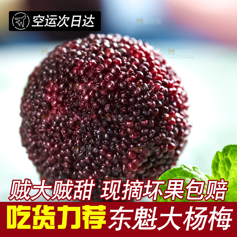 浅底上摆放着东魁杨梅