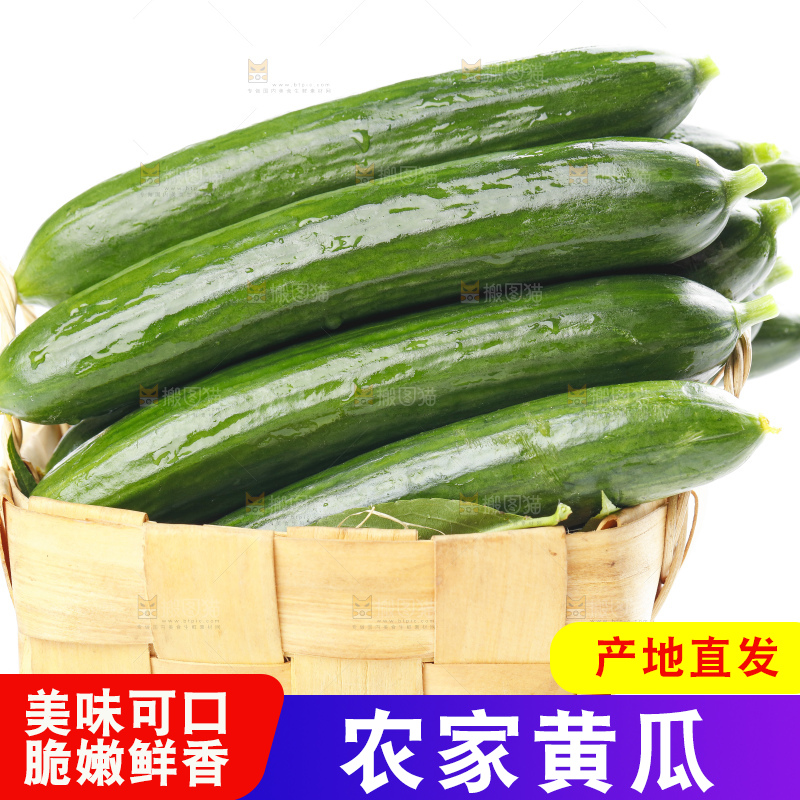 篮子里装着水果黄瓜