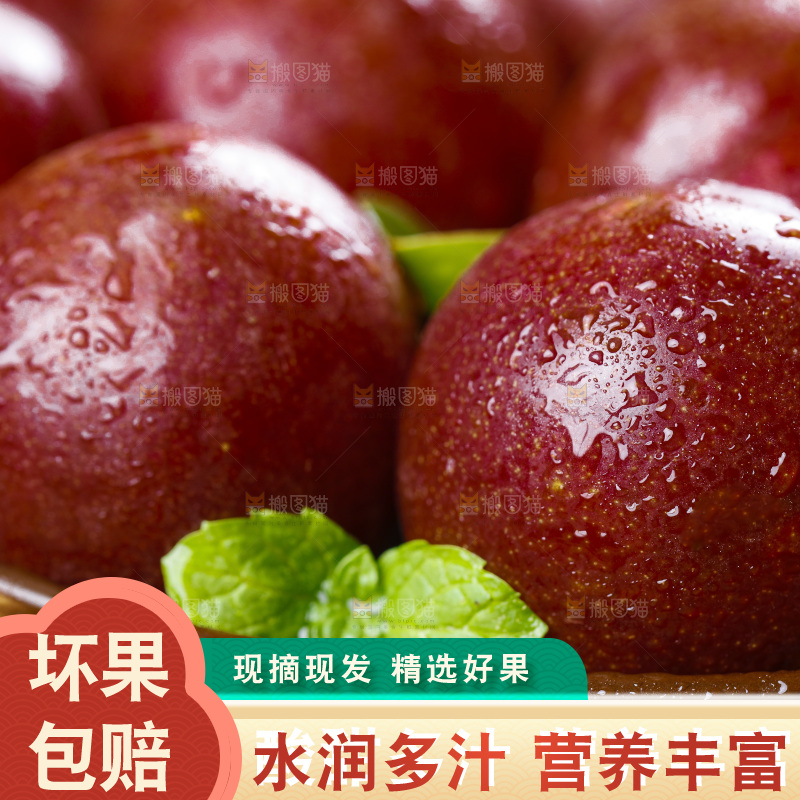 深底上放着钱排三华李