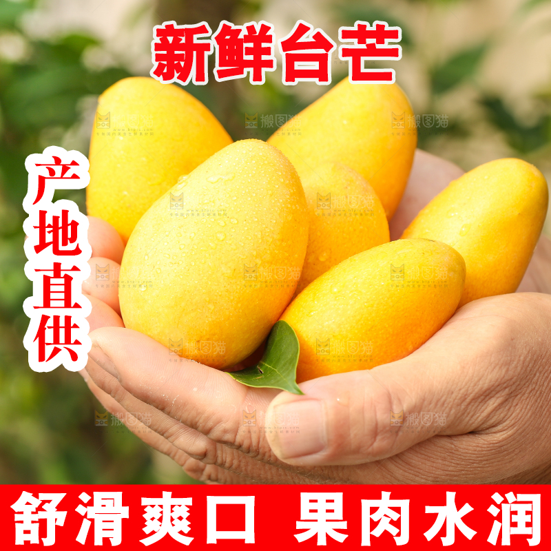 手里拿着小台农芒