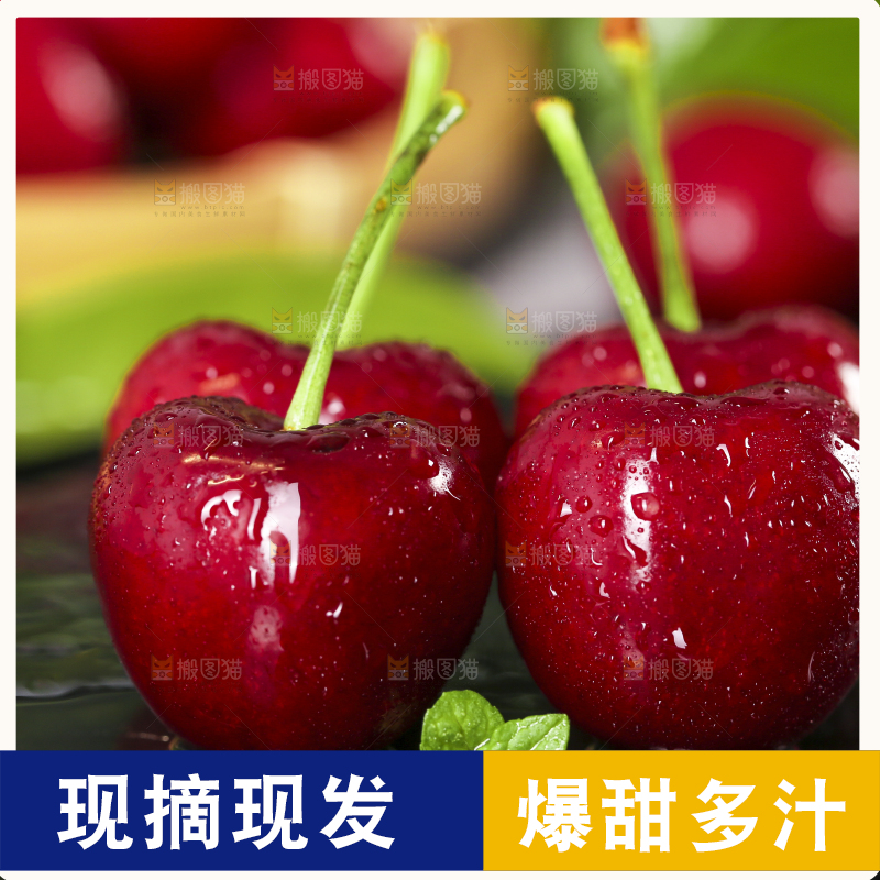 黑底上放着大樱桃