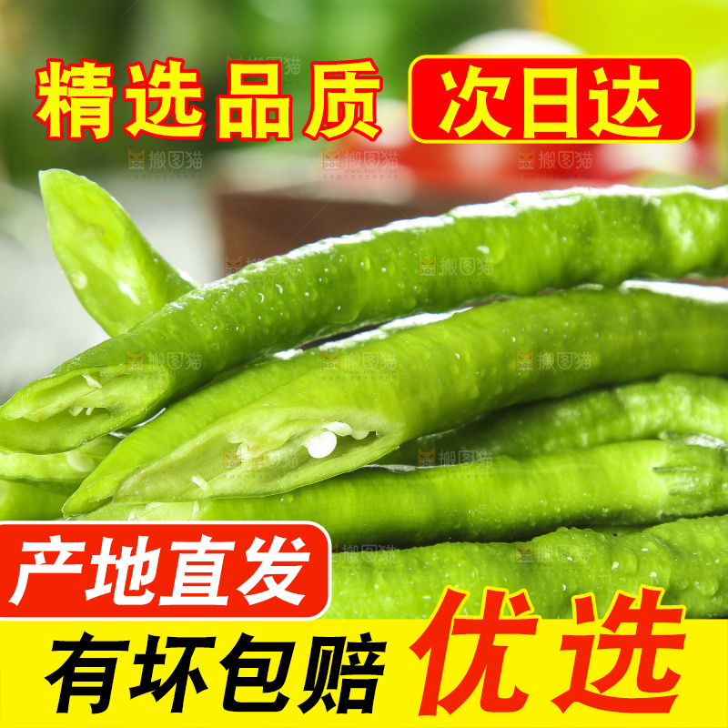 石板上放着一捆线椒