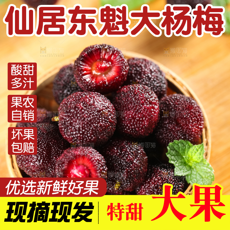篮子里装着杨梅