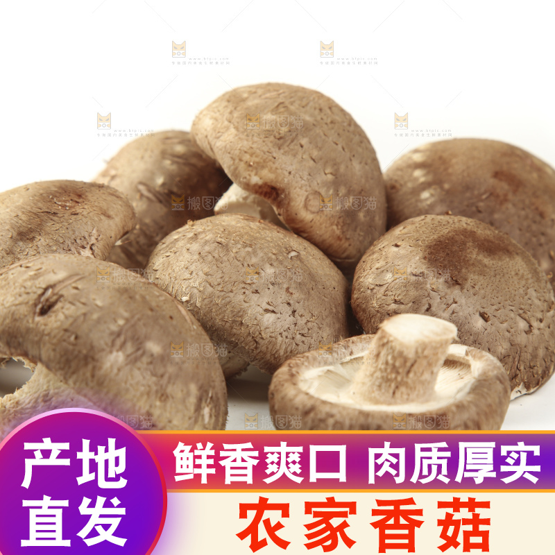 白底上放着香菇