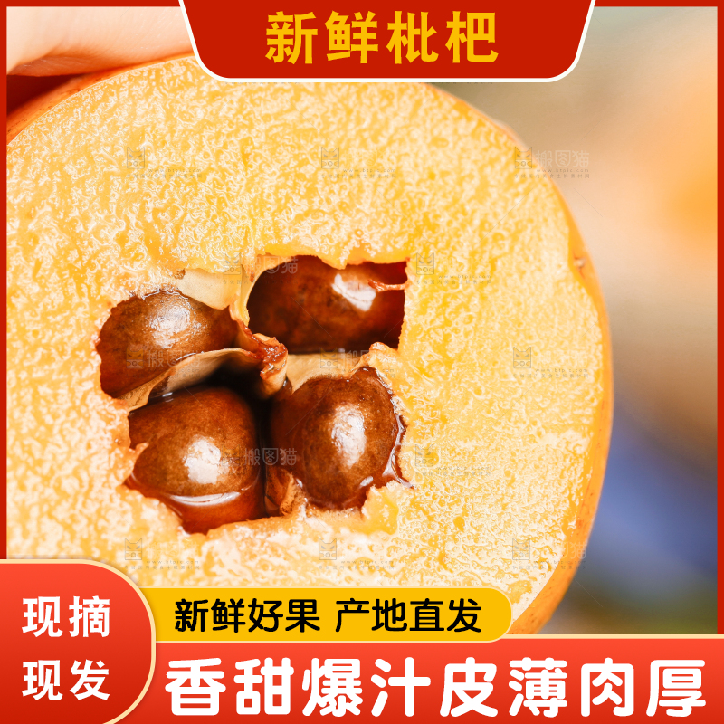 手里拿着枇杷果