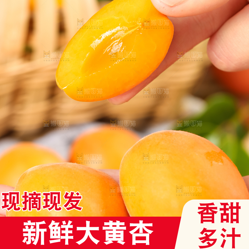 手里拿着黄杏