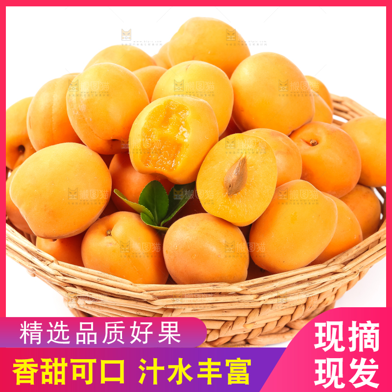 篮子里装着杏子