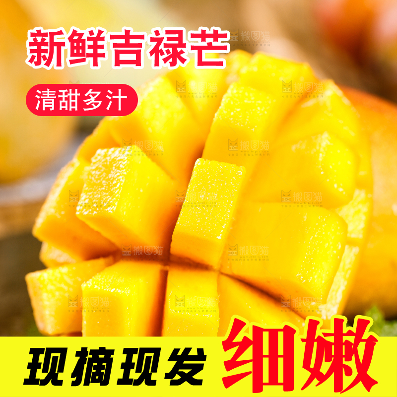 石板上的四川吉禄芒