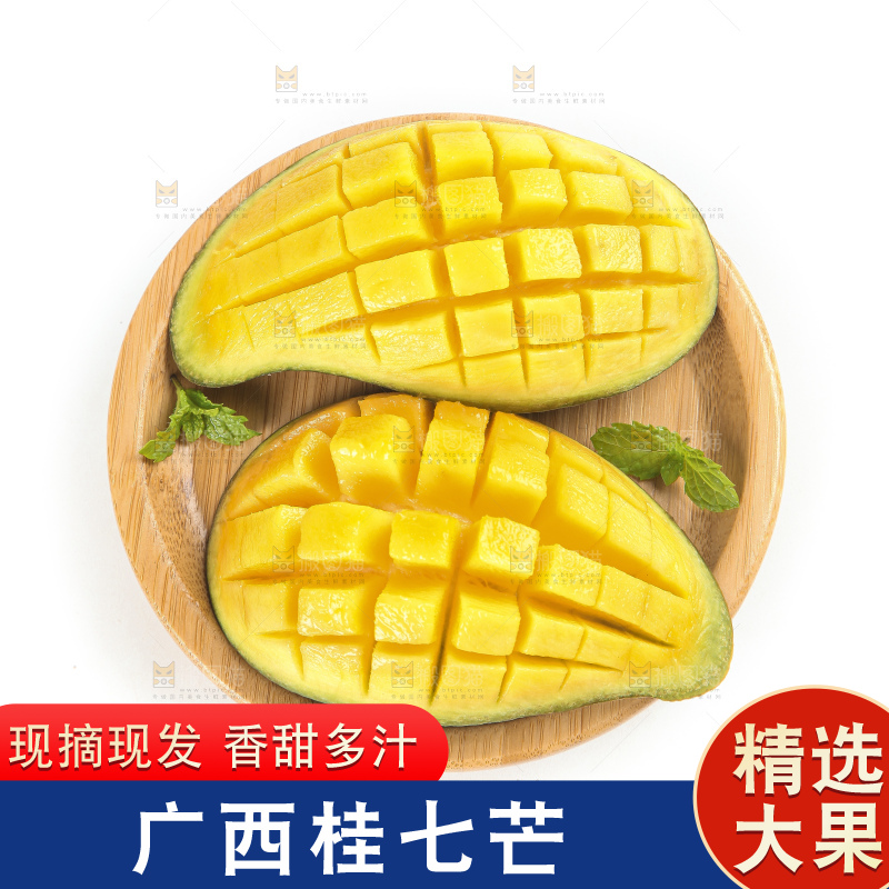 白底上的桂七香芒